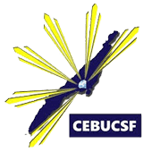 Cebu Credit Surity Fund